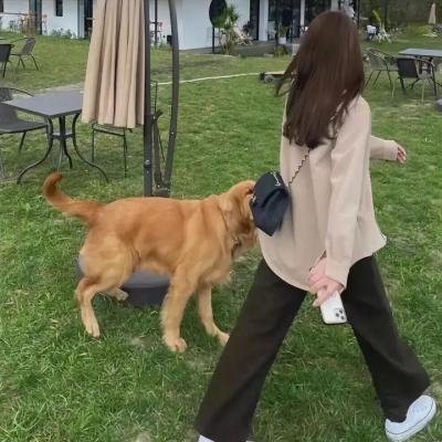 契约夫妇